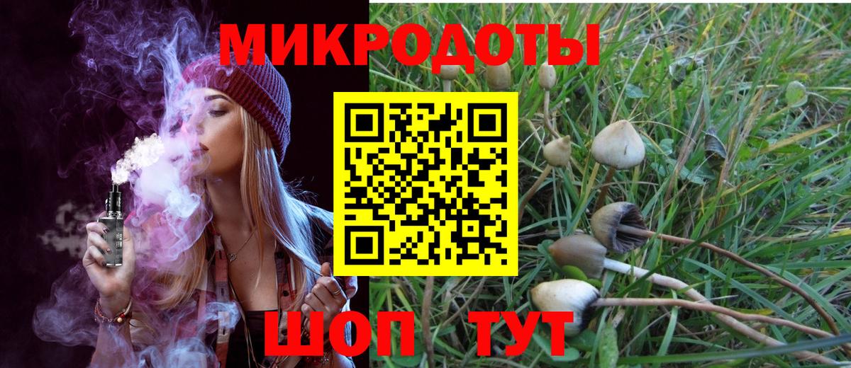 Псилоцибиновые грибы Psilocybe  Вход с VPN  купить   Сертолово 