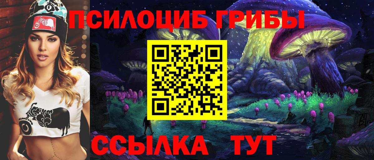 Галлюциногенные грибы Psilocybine cubensis Сертолово